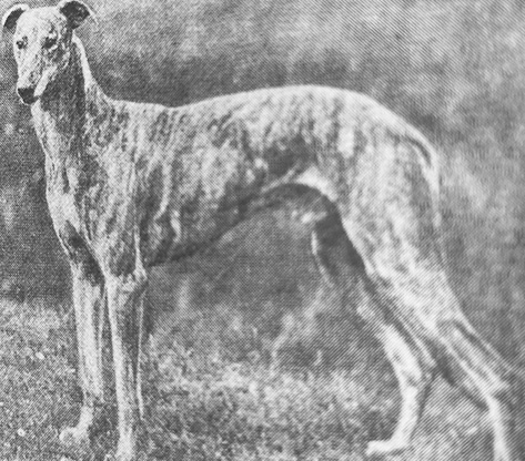 Colonel North, the Nitrate King